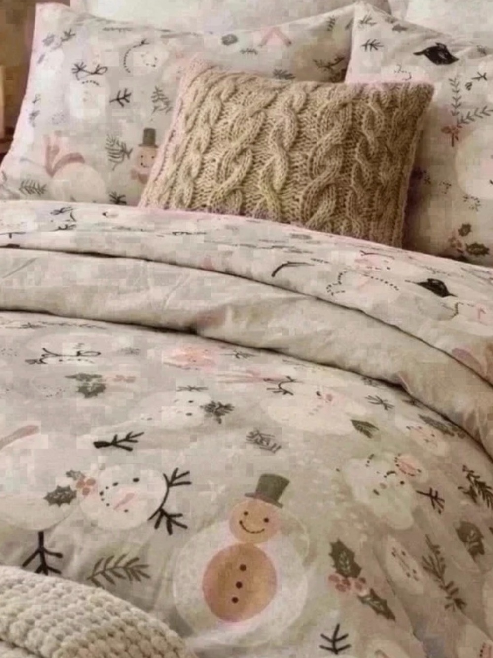 NWOT Pottery Barn Kids Full/Queen Organic Sheet Set
